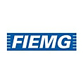 Federao das Indstrias do Estado de Minas Gerais (Fiemg)
